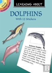 Learning About Dolphins