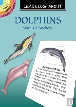 Bertrand.pt - Learning About Dolphins