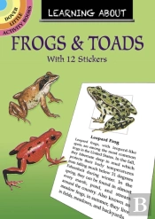 Learning About Frogs And Toads
