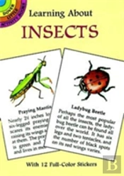 Learning About Insects