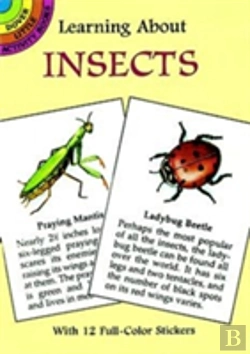 Bertrand.pt - Learning About Insects