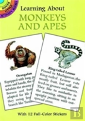 Learning About Monkeys And Apes