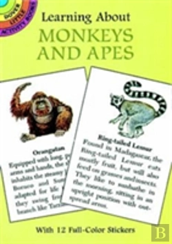 Bertrand.pt - Learning About Monkeys And Apes