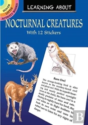Learning About Nocturnal Creatures
