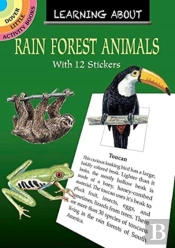 Learning About Rain Forest Animals