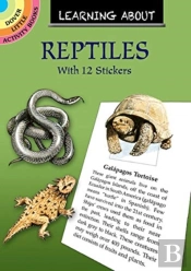 Learning About Reptiles