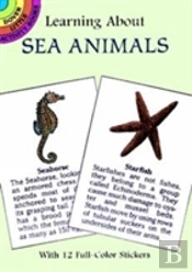 Learning About Sea Animals
