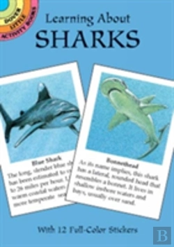 Bertrand.pt - Learning About Sharks
