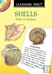 Learning About Shells