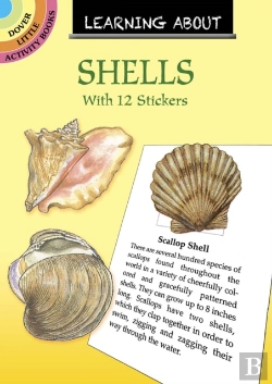 Bertrand.pt - Learning About Shells