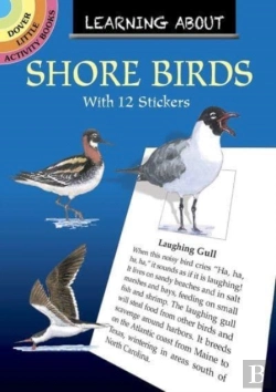 Bertrand.pt - Learning About Shorebirds