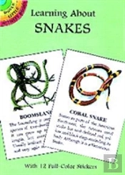 Learning About Snakes