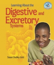 Learning About The Digestive And Excretory Systems