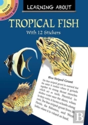 Learning About Tropical Fish