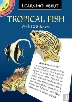 Bertrand.pt - Learning About Tropical Fish