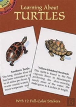 Bertrand.pt - Learning About Turtles