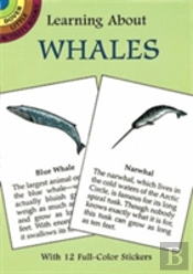 Learning About Whales