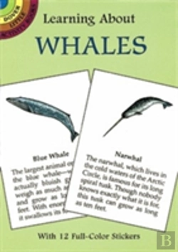 Bertrand.pt - Learning About Whales