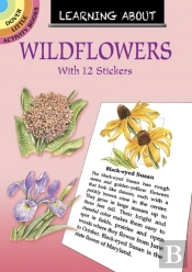 Learning About Wildflowers