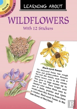 Bertrand.pt - Learning About Wildflowers