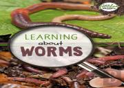 Learning About Worms