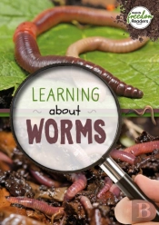 Learning About Worms