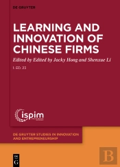 Learning And Innovation Of Chinese Firms
