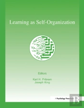 Learning As Self-Organization