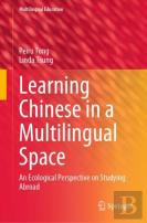 Learning Chinese In A Multilingual Space