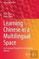 Learning Chinese In A Multilingual Space