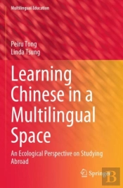 Learning Chinese In A Multilingual Space