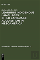 Learning Indigenous Languages: Child Language Acquisition In Mesoamerica
