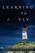 Learning To Fly