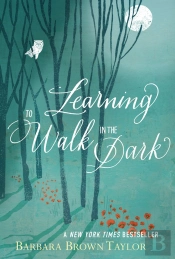 Learning To Walk In The Dark