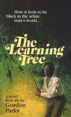 Bertrand.pt - Learning Tree