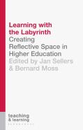 Learning With The Labyrinth