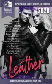 Leather - Spicy Bites: 2020 Romance Writ