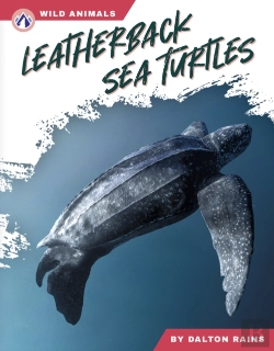 Bertrand.pt - Leatherback Sea Turtles