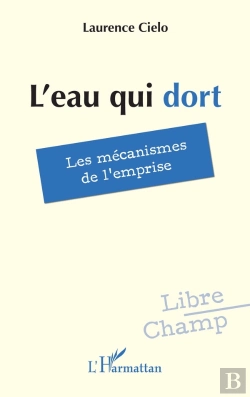 Bertrand.pt - L'Eau Qui Dort : Les Mécanismes De L'Emprise