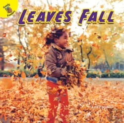 Bertrand.pt - Leaves Fall