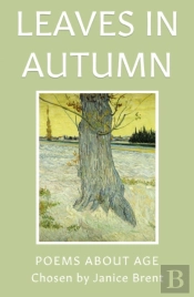 Leaves In Autumn