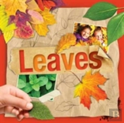 Bertrand.pt - Leaves
