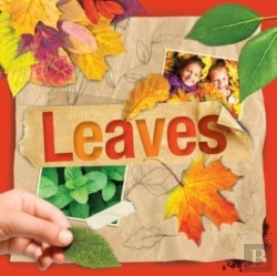 Bertrand.pt - Leaves