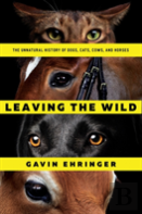 Leaving The Wild