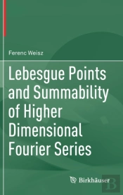 Lebesgue Points And Summability Of Higher Dimensional Fourier Series