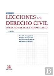 Lecciones De Derecho Civil