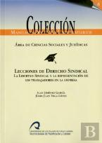 Lecciones De Derecho Sindical