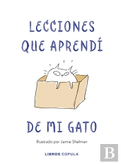 Lecciones De Vida Que Aprendí De Mi Gato