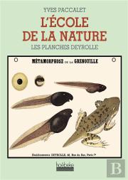 L'Ecole De La Nature ; Les Planches Deyrolle
