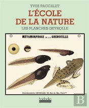 L'Ecole De La Nature ; Les Planches Deyrolle